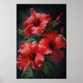 Roter Hibiskus Blume Art Print Poster (Vorne)