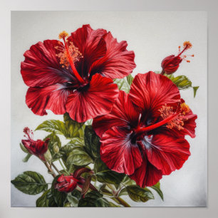 Roter Hibiskus Blume Art Print Poster