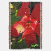 Roter Hibiskus Blume bei Sonnenlicht Decke (Vorderseite Vertikal)