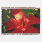 Roter Hibiskus Blume bei Sonnenlicht Decke (Vorderseite)