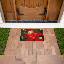 Roter Hibiskus Blume bei Sonnenlicht