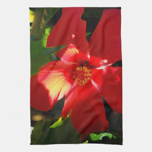Roter Hibiskus Blume bei Sonnenlicht Küchentuch (Vertikal)