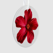 Roter Hibiskus Blume Circle Acrylic Ornament (Vorderseite)
