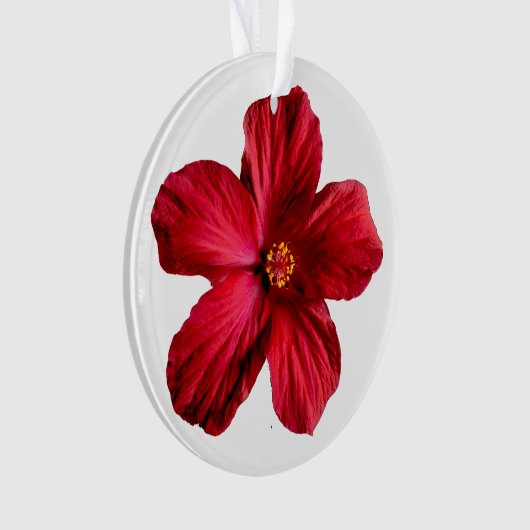 Roter Hibiskus Blume Circle Acrylic Ornament (Vorderseite)