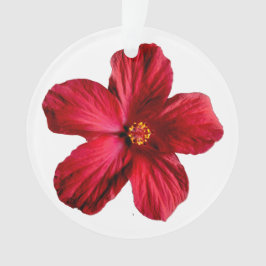 Roter Hibiskus Blume Circle Acrylic Ornament