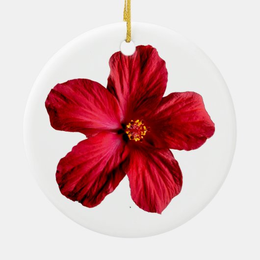 Roter Hibiskus Blume Circle Ornament (Hinten)