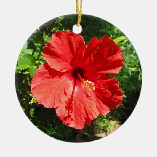 Roter Hibiskus Blume Foto von Hawaii Keramik Ornament (Vorne)