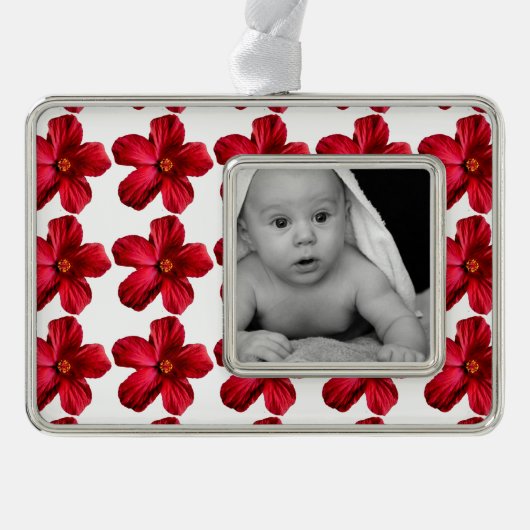 Roter Hibiskus Blume Gerahmt Silberplattiert Ornam Rahmen-Ornament Silber (Vorderseite)