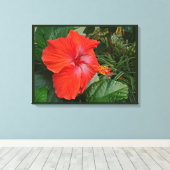 Roter Hibiskus Blume Leinwanddruck (Insitu (Holzboden))