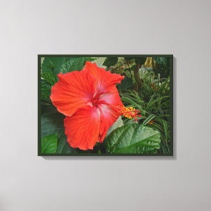 Roter Hibiskus Blume Leinwanddruck
