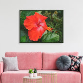 Roter Hibiskus Blume Leinwanddruck (Insitu (Wohnzimmer))