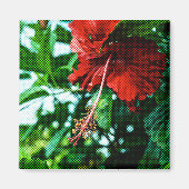 Roter Hibiskus Blume Magnet (Vorne)