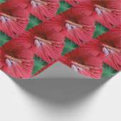 Roter Hibiskus Blume mit Raindrops-Foto Geschenkpapier (Ecke)