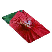 Roter Hibiskus Blume mit Raindrops-Foto Magnet (Rechte Seite)
