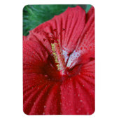 Roter Hibiskus Blume mit Raindrops-Foto Magnet (Vertikal)