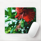 Roter Hibiskus Blume Mousepad (Mit Mouse)