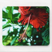 Roter Hibiskus Blume Mousepad (Vorne)