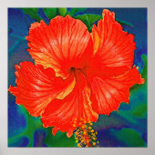 Roter Hibiskus Blume Poster (Vorne)