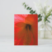 Roter Hibiskus Blume Postkarte (Stehend Vorderseite)