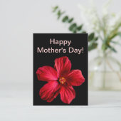 Roter Hibiskus Blume Postkarte (Stehend Vorderseite)