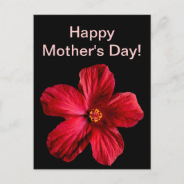 Roter Hibiskus Blume Postkarte