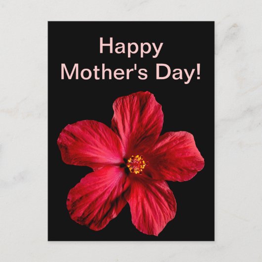 Roter Hibiskus Blume Postkarte (Vorderseite)