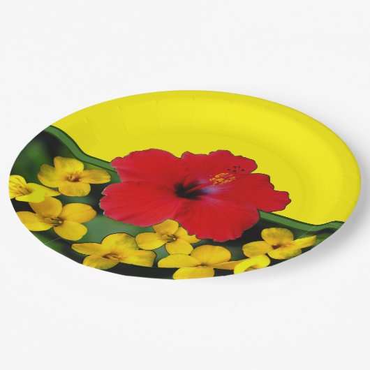 Roter Hibiskus-Blumen-Blumenstrauß Pappteller (Schrägansicht)