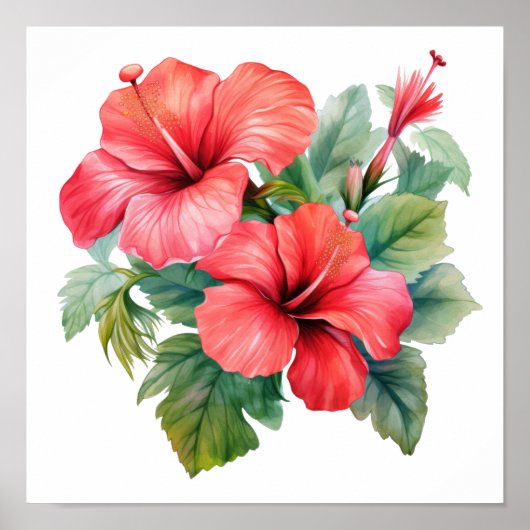 Roter Hibiskus Blumengrün Poster (Vorne)