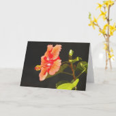 Roter Hibiskus, Brenda's Blume Karte (Gelbe Blume)