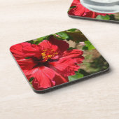 Roter Hibiskus Cork Untersetzer (Linke Seite)