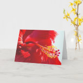 Roter Hibiskus, Flamme Karte (Gelbe Blume)