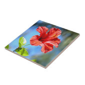 Roter Hibiskus Fliese (Seite)