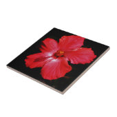 Roter Hibiskus Fliese (Seite)