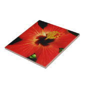 Roter Hibiskus Fliese (Seite)