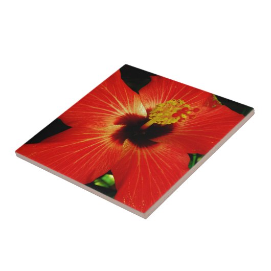 Roter Hibiskus Fliese (Seite)