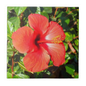 Roter Hibiskus Fliese (Vorderseite)
