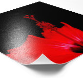 Roter Hibiskus Fotodruck (Ecke)