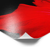 Roter Hibiskus Fotodruck (Ecke)