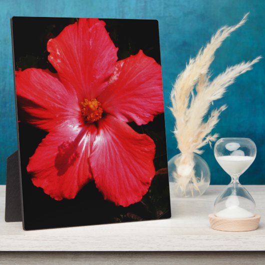 Roter Hibiskus Fotoplatte (Seite)