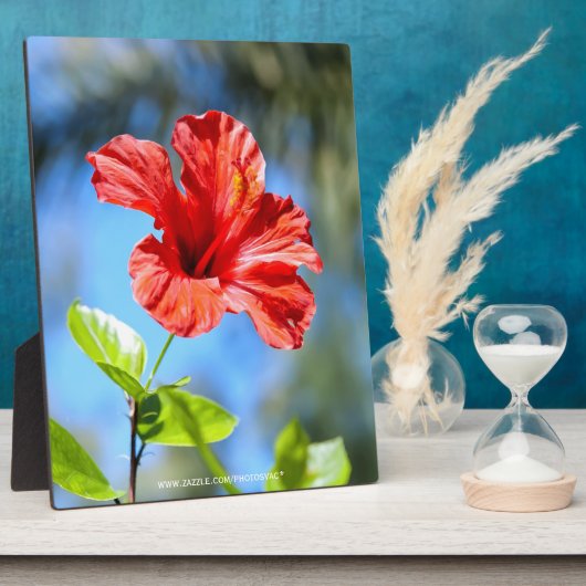 Roter Hibiskus Fotoplatte (Seite)