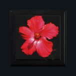 Roter Hibiskus Geschenkbox<br><div class="desc">Roter Hibiskus Blume Hibiskus ist eine blühende Pflanze in der Mallow-Familie, Malvaceae. Er ist ziemlich groß und umfasst mehrere Hundert Arten, die in warmen, subtropischen und tropischen Regionen der ganzen Welt beheimatet sind. Senden Sie eine Nachricht an sandycloss@gmail.com oder sandycloss.smugmug.com, wenn Sie eines dieser Designs auf einem Produkt sehen möchten,...</div>