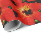 Roter Hibiskus Geschenkpapier (Rolleneckpunkt)