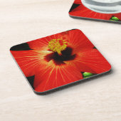 Roter Hibiskus Getränkeuntersetzer (Linke Seite)