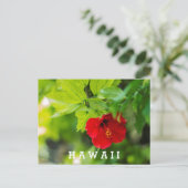 Roter Hibiskus Hawaii Tropische Blume Postkarte (Stehend Vorderseite)