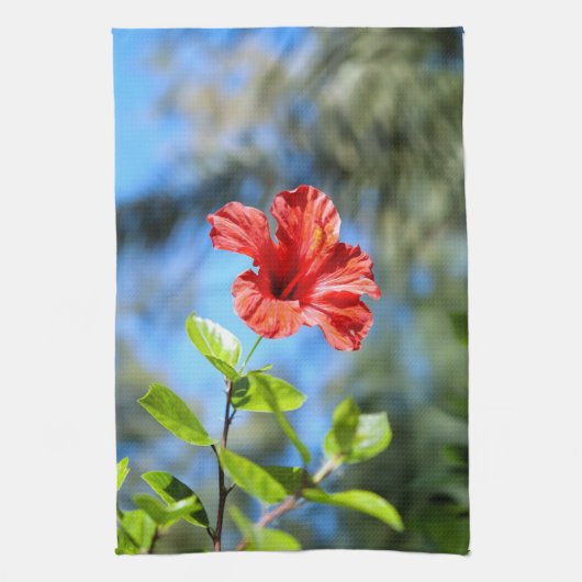 Roter Hibiskus Küchentuch (Vertikal)
