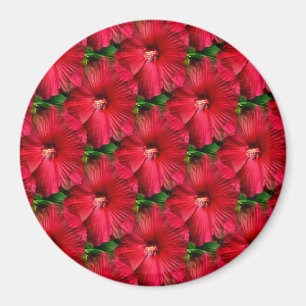 Roter Hibiskus......... Magnet