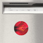 Roter Hibiskus Magnet (In Situ (Geschirrspüler))