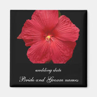 Roter Hibiskus