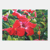 Roter Hibiskus Mele Kalikimaka Geschenkpapier Set (Vorderseite 3)
