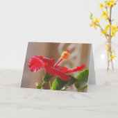 Roter Hibiskus mit Embosser, gekrollt Karte (Gelbe Blume)